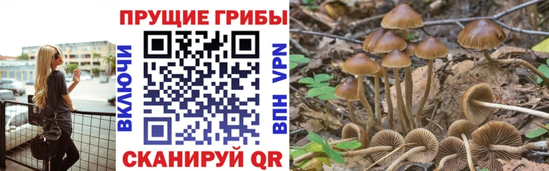Псилоцибиновые грибы Cubensis  Баймак 